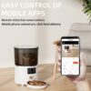 4L Smart Pet Feeder Features: Detachable Tank, Anti-Jamming Design, and Video Monitoring