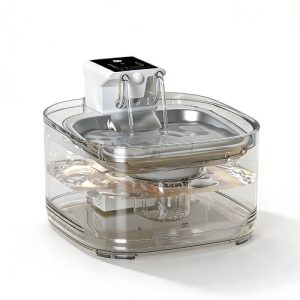 DM_20260218213704_008